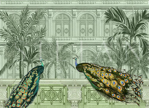 Peacock